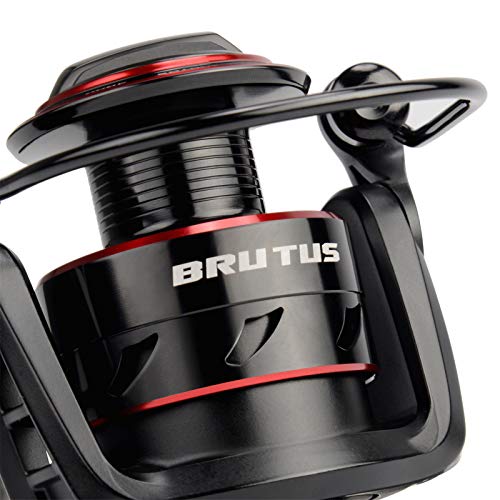 KastKing Brutus Spinning Reel,Size 4000 Fishing Reel, KastKing Royale Advantage,Spinning FishingRods 6'6"
