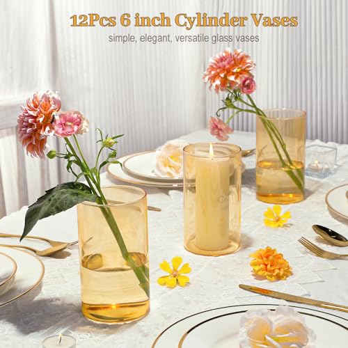 TBWIND 12pcs Glass Gold Amber Cylinder Vases for Centerpieces, 6 Inch Champagne Flower Vases for Wedding Decorations, Indo...