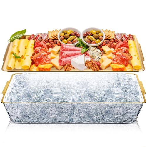 Baderke 1 Set 16" x 9.45'' Chilled Serving Tray for Parties with Compartments Rectangle Serving Dish Ice Charcuterie Party...