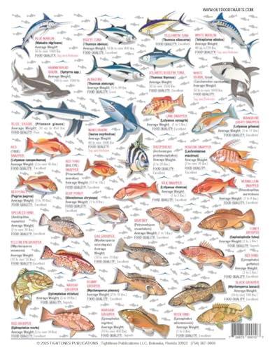 Saltwater Fish Identification Chart #5 - Waterproof Quick Reference Fishing Guide - 50+ Fish Species ID - (Florida, Atlant...