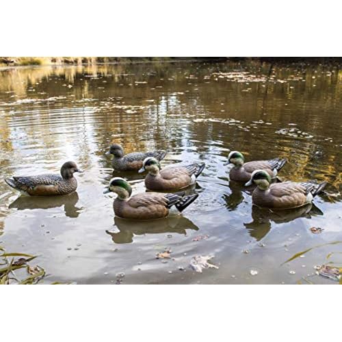Flambeau Outdoors 8024SUV Storm Front 2 Wigeon Decoys, Classic Floaters - 6-Pack
