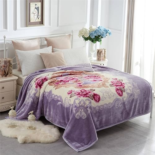 JYK Queen Size Korean Mink Blanket, 5 LB Fleece Bed Blanket - 2 Ply Reversible 520GSM Silky Soft Plush Warm Blanket for Au...