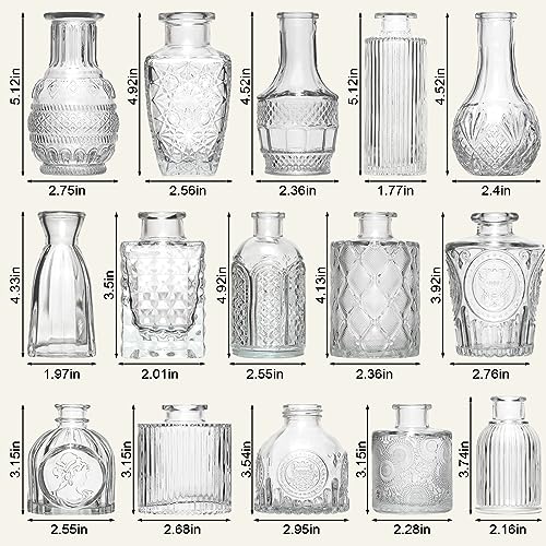 Arme 16Pcs Glass Bud Vase Set，Small Flower Vase for Centerpieces，Clear Bud Vases in Bulk， Mini Vintage Vase for Rustic Wed...
