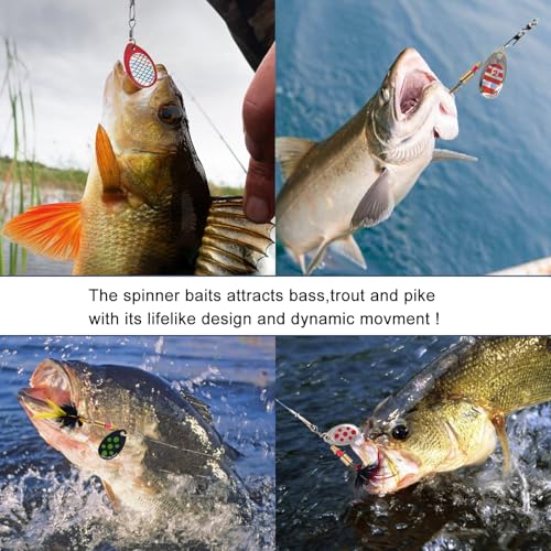 YPWUE Rooster Tail Fishing Lures – Inline Spinner Baits Kit for Trout, Bass & Salmon – Effective in Freshwater, Streams & ...