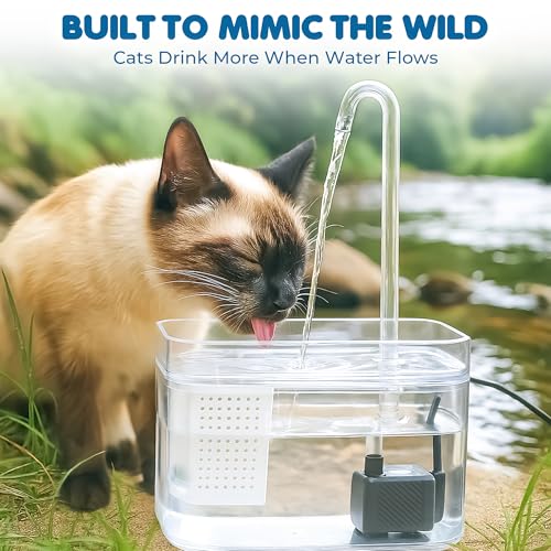 SunGrow Cat Water Fountain, Automatic Flowing Hydration Station with Filter & Silent USB Pump, Easy-to-Use Transparent Fee...