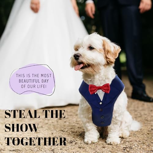 AVERYDAY Dog Tuxedo for Wedding Outfit, Dog Suit and Tie Costumes for Birthday, Halloween, Cosplay, Christmas Party, Pet F...