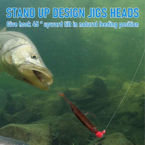 Alwonder 20-Pack Walleye Jigs Kit with 3D Eyes, Walleye Bass Fishing Jig Heads Stand Up Swimbait Jig Head 1/8oz 3/16oz 1/4...