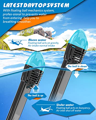 QingSong Full Face Snorkel Mask for Adults, Snorkeling Gear with Camera Mount, 180 Degree Panoramic View Snorkel Set Anti-...