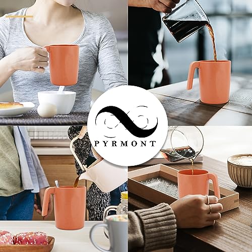 PYRMONT Wheat Straw Cups-Reusable Plastic Cups Set of 6,16 oz Cup with Handles for Kitchen,Unbreakable Drinking Cup for Ca...