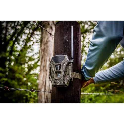 Wildgame Innovations WGI-TERACC: Terra Xt Cellular Camera / 24Mp