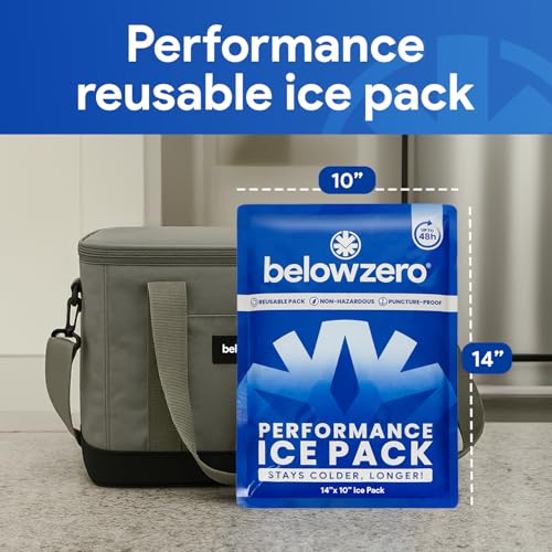 Below Zero Prefilled Reusable Ice Packs for Coolers | Long Lasting Freezer Ice Blocks for Camping, Lunch Bags & More | 48 ...