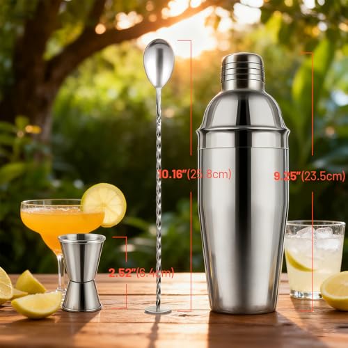 Cocktail Shaker Set, 24oz Stainless Steel Bartender Kit with Measuring Jigger & Mixing Spoon,Cocktail Recipe,Professional ...