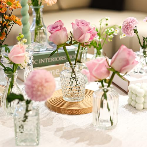 Arme 16Pcs Glass Bud Vase Set，Small Flower Vase for Centerpieces，Clear Bud Vases in Bulk， Mini Vintage Vase for Rustic Wed...
