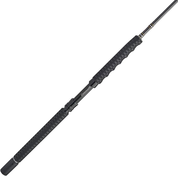 PENN Carnage II & Carnage III Boat Conventional Fishing Rod