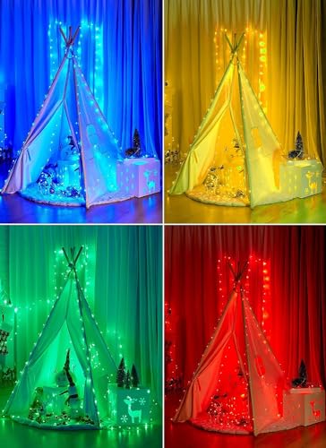 Minetom Color Changing Fairy String Lights - 33 ft 100 LED USB Silver Wire Lights with Remote and Timer, Starry Fairy Ligh...
