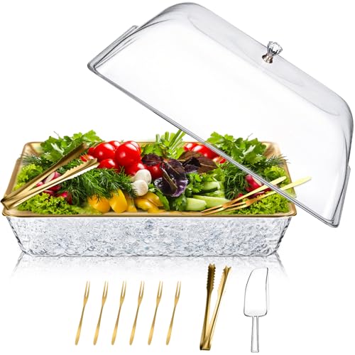 Baderke 1 Set 16" x 9.45" Chilled Serving Tray for Parties with Compartments and Lid Charcuterie Serving Board Ice Rectang...