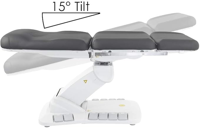 SKINACT Kana Electric Treatment Table with Stirrups Included (Gray)
