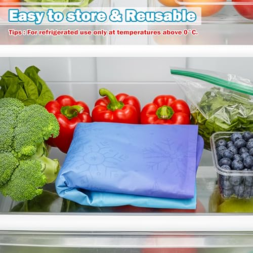MALLMALL6 Reusable Freezable Ice Mat - 2Pcs Cooling Keeping Food Fresh Serving Tray for Outside Picnic Party Buffet, 19.7 ...