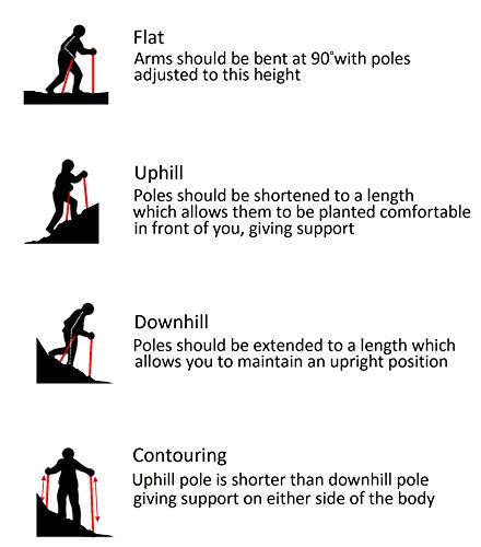 MBC Carbon Fiber Trekking Pole 4 Section Extendable Photography Monopod Leg Stand for Camera and Camcorder