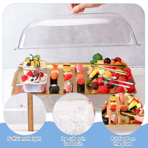 Baderke 1 Set 16" x 9.45" Chilled Serving Tray for Parties with Compartments and Lid Charcuterie Serving Board Ice Rectang...