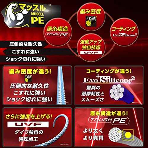 DAIWA PE Line UVF Soltiga Dura Sensor X8+Si2 No. 4 No. 300 m, Multicolor