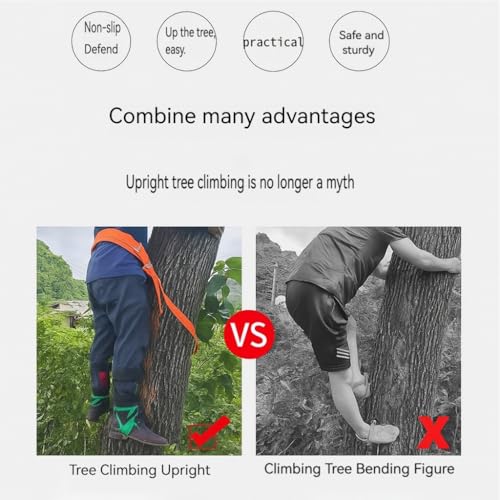 TNDCKP Professional Tree Climbing Gear Kit | High-Strength Steel Spikes | Safe & Comfortable Design | Ergonomic Fit | Idea...