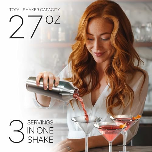 Insulated Cocktail Shaker Set | Double Wall Stainless Steel | Martini Shaker for Home Bar Bartending | Built-in Drink Meas...