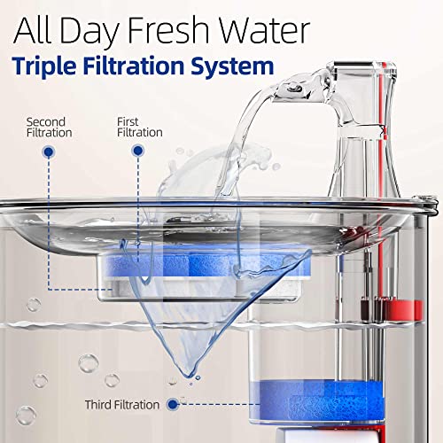 Homtyler Cat Water Fountain, Stainless Steel Inside Ultra-Quiet Pump, 2L/67oz Automatic Dog Dispenser Water Bowl, Multiple...