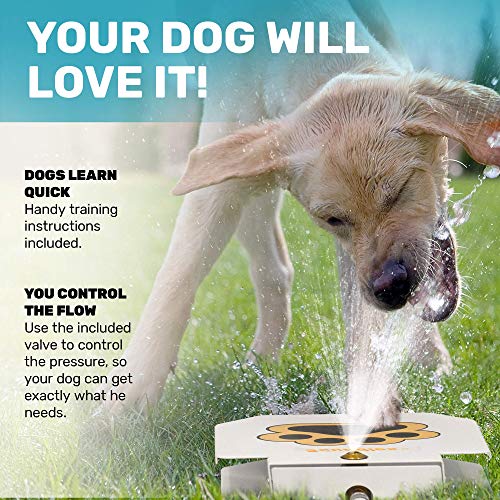 Scuddles Outdoor Dog Water Fountain – Step-On Dog Sprinkler Toy with Stainless Steel Hose, Brass Valve & Non-Slip Base – A...