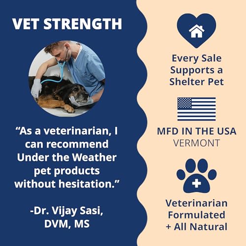 Under the Weather Pet Electrolytes Ready Cal Plus Gel for Dogs | Vet-Formulated High-Calorie Supplement for Dog & Puppy | ...