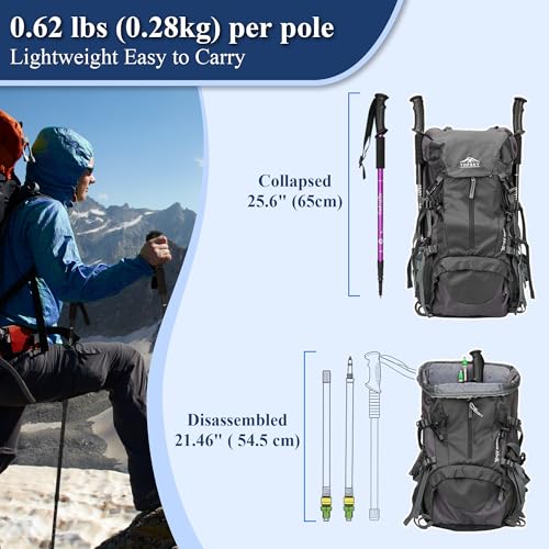 TheFitLife Nordic Walking Trekking Poles - 2 Sticks with Anti-Shock and Quick Lock System, Telescopic, Collapsible, Ultral...