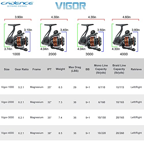 Cadence Fishing Combos with 10+1 Ideal Spinning Reel Bundle + 2PCS 6.6ft Lux Moderate Light Spinning Rod Perfect for Profe...