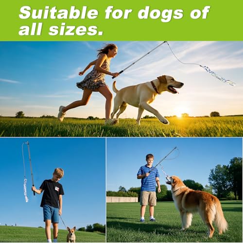 Msnaile Carbon Fiber Flirt Pole for Dogs, 0.23 Pounds Lightweight Dog Flirt Pole for Large Medium Small Dogs, Telescopic F...