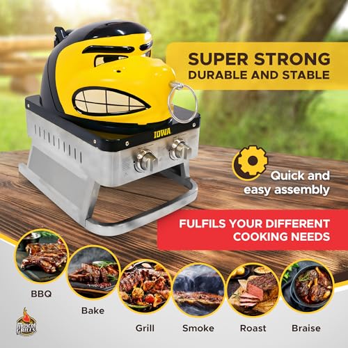 Hawkeye Portable Propane Gas Grill, 16,000 BTU Tabletop Barbecue with 2 Burners, Dual Temp Control for Tailgating, RV, Bac...