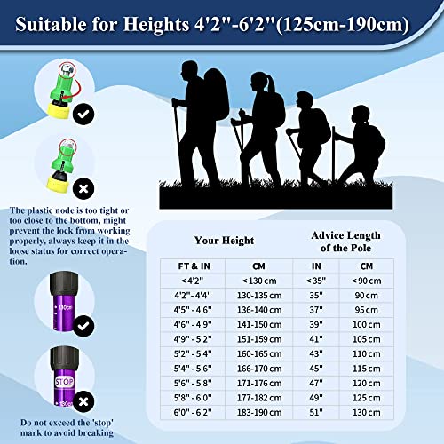 TheFitLife Nordic Walking Trekking Poles - 2 Sticks with Anti-Shock and Quick Lock System, Telescopic, Collapsible, Ultral...
