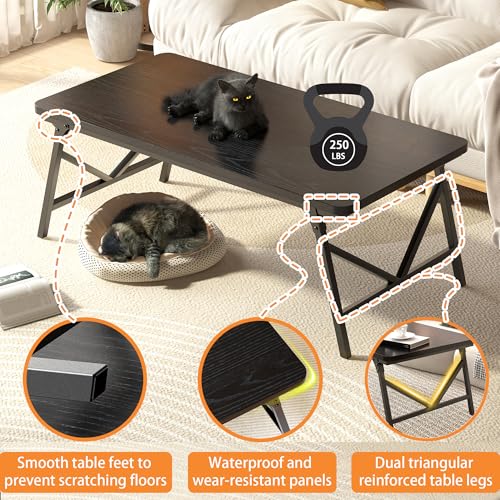 QUERNA Folding Coffee Table, No Assembly Low Coffee Table, Floor Table Desk for Sitting on The Floor, Portable Floor Table...