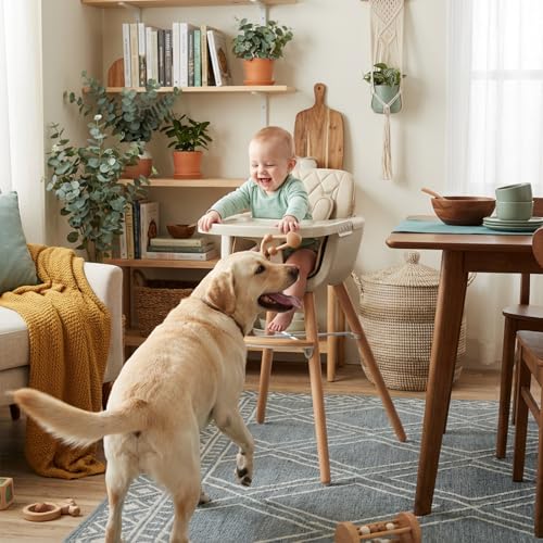 Mallify 3-in-1 Wooden High Chair, Convertible High Chairs for Babies and Toddlers, Baby Highchair with Adjustable Legs & D...