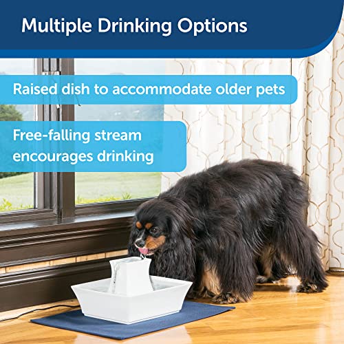 PetSafe Drinkwell Pagoda Fountain - Hygienic Ceramic Continuous Flowing Fountain - Elevated Upper Bowl & Double Free-Falli...
