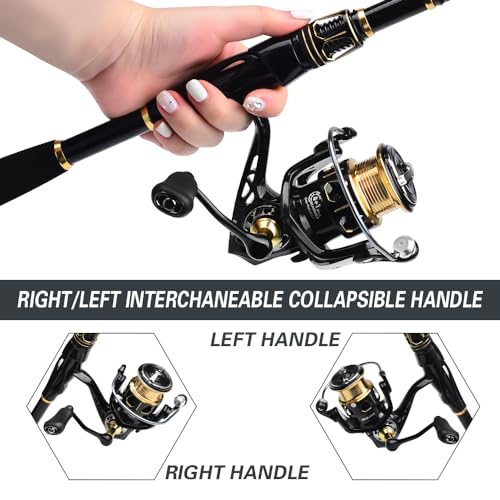 Fishing Rod and Reel Combo - Carbon Fiber Telescopic Fishing Pole with 2000 Spinning Reel Combos - Sea Saltwater Freshwate...