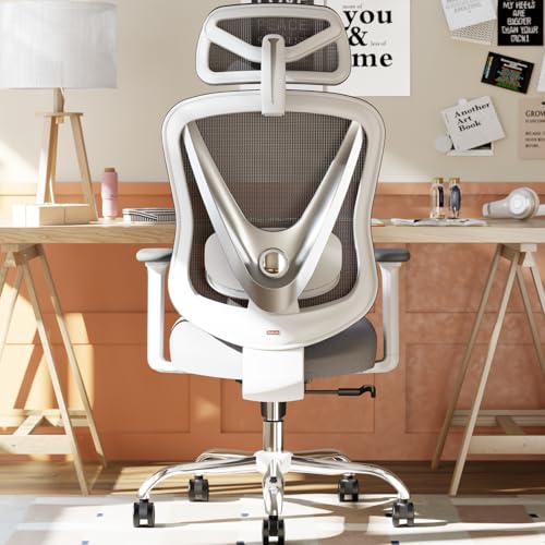 HOLLUDLE Ergonomic Mesh Office Chair - 3D Adjustable Lumbar Support & 3D Armrests, V-Shaped Back, Adjustable Desk Chair fo...
