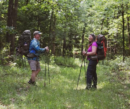 ALPS Mountaineering Alliance Trekking Poles, Set of 2, Black