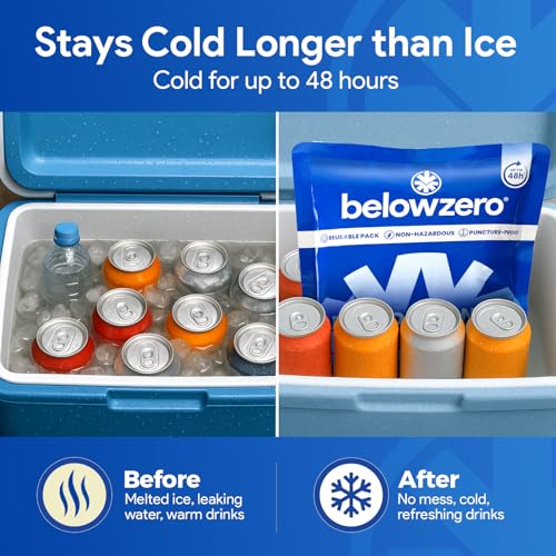 Below Zero Prefilled Reusable Ice Packs for Coolers | Long Lasting Freezer Ice Blocks for Camping, Lunch Bags & More | 48 ...
