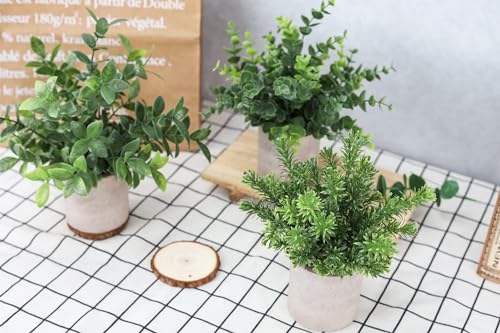 Der Rose 3 Pack Mini Potted Fake Plants Artificial Plastic Eucalyptus Plants Centerpieces for Table Home Office Desk Acces...
