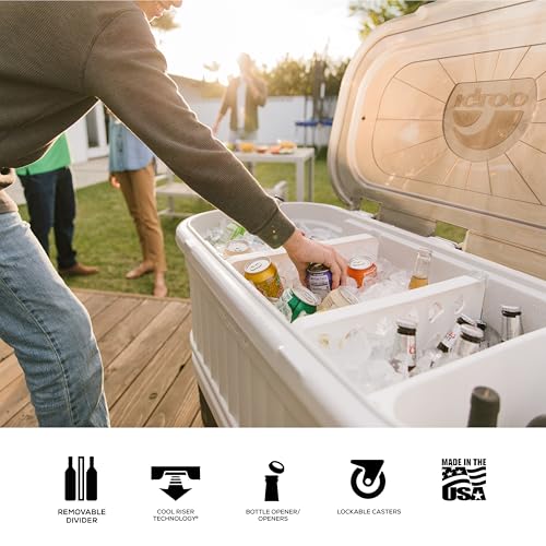 Igloo Hard Cooler | Polar & Party Bar Series | Insulated Ice Chests