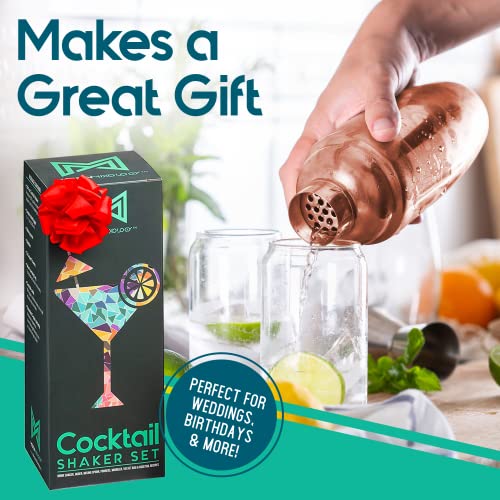 Modern Mixology 8-Piece Cocktail Shaker Set with Velvet Bag | Complete Cocktail Kit Gift Set | Top Bartender Gifts for Men...