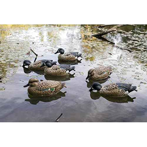 Flambeau Outdoors 8016SUV Storm Front 2 Blue-Winged Teal Decoys, Classic Floaters- 6-Pack