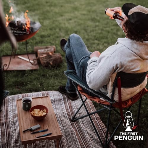 The First Penguin Portable Camping Stove - with Carrying Case 10,000 BTU Great for Emergency Preparedness Kit, High Power ...