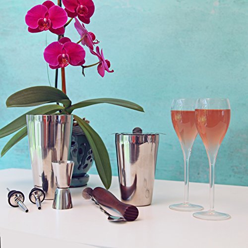 Professional Bartender Kit Cocktail Shaker Set by Toncini | Bartending Tools & Accessories | Stainless Steel Martini Shake...