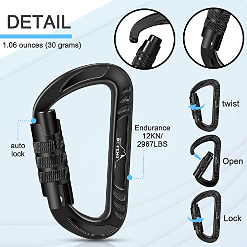BEIFENG Heavy Duty Lightweight Locking Carabiner Clips D Ring for Camping Hiking Outdoor Gym etc, Carabiner with Lock Smal...
