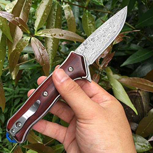 ALBATROSS Premium Damascus Folding Knife - EDC Pocket Knife with Cocobolo Wood Handle, 3.5" Blade, Liner Lock System - Out...